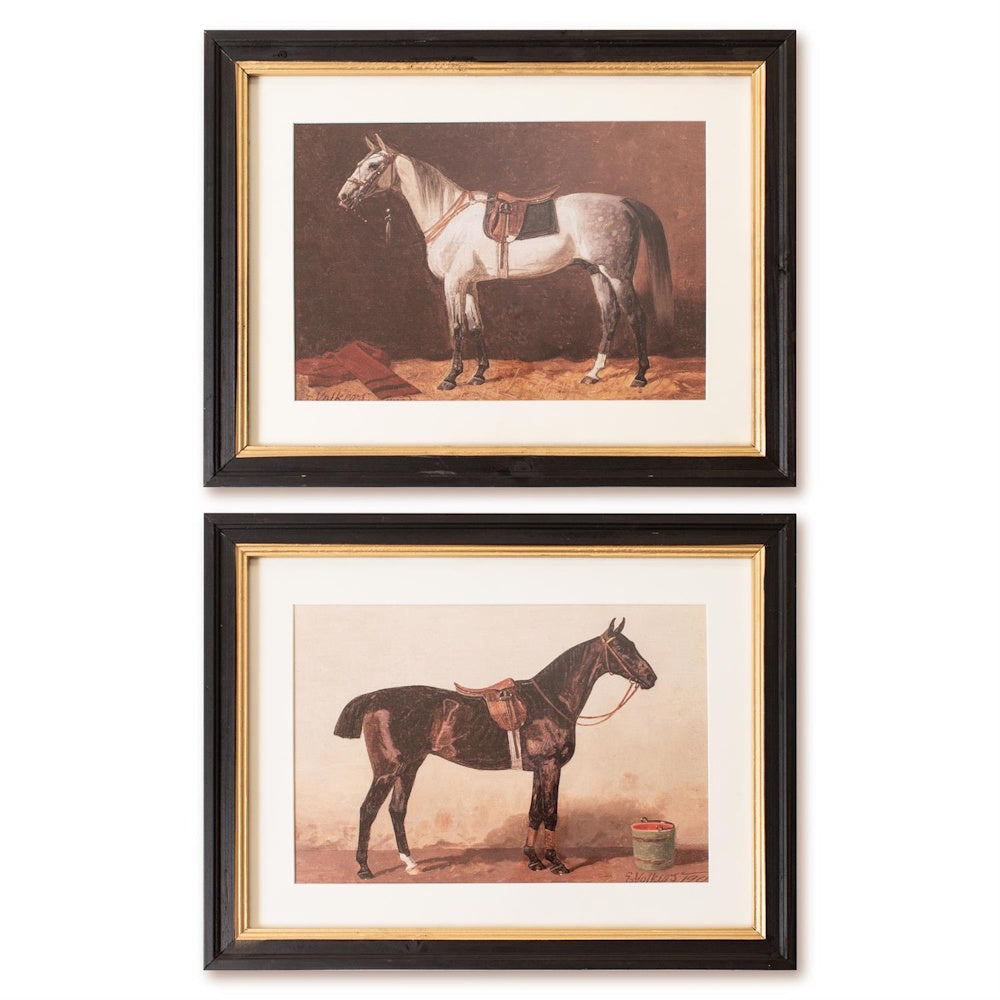 Two framed equestrian prints: one featuring a grey horse and the other a dark bay horse, both with saddles.