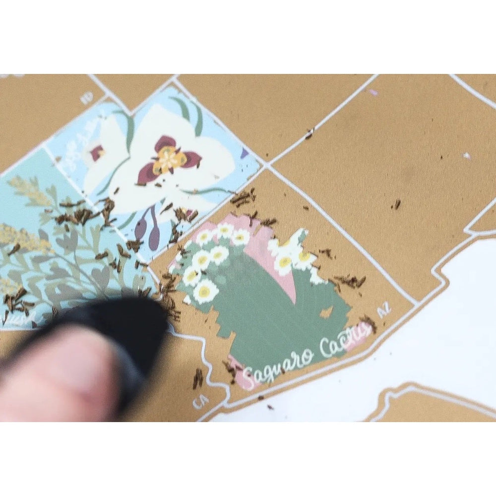 A person uses a tool to scratch a gold coating off a US map, revealing a colorful saguaro cactus flower for Arizona.
