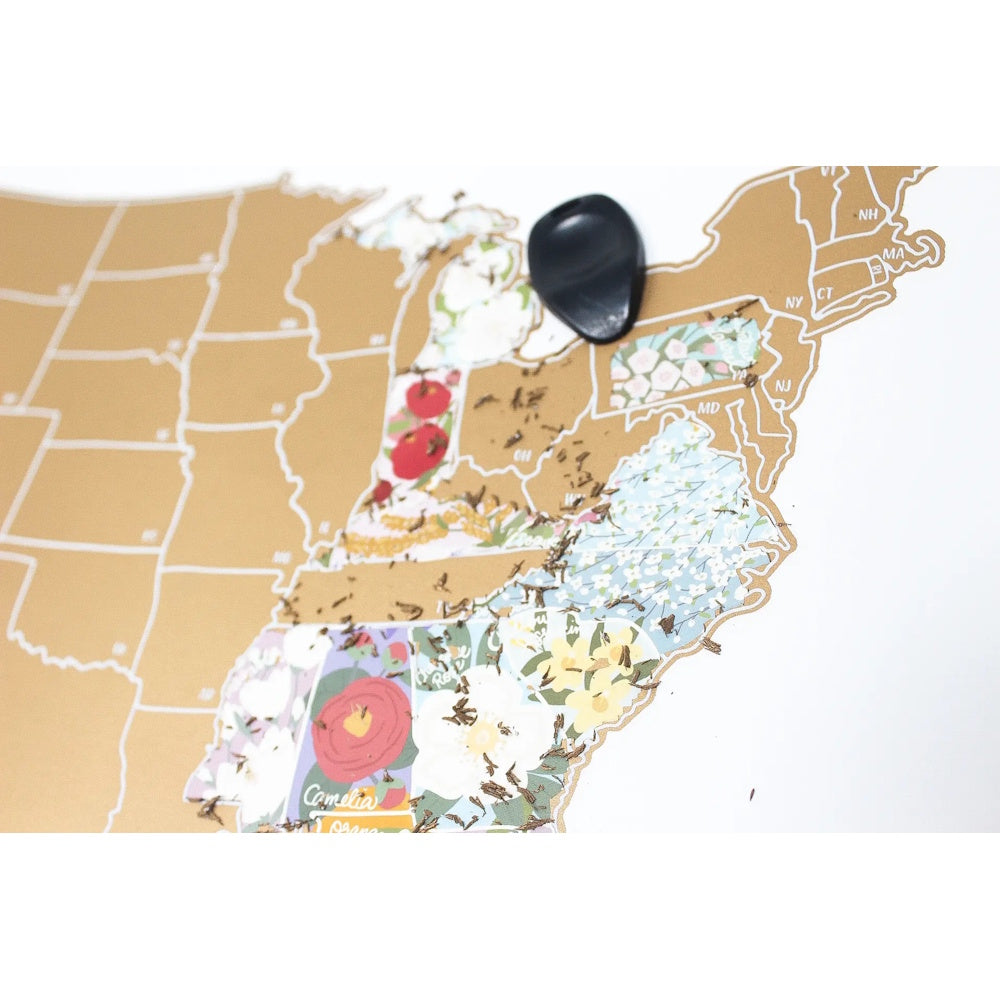 A scratch-off USA map showing state flowers in the Eastern US, with gold foil shavings and a black guitar pick.