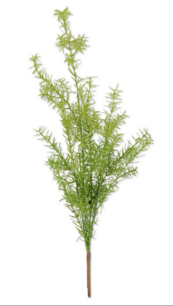 27 Inch Asparagus Fern Bush — alternate view 2