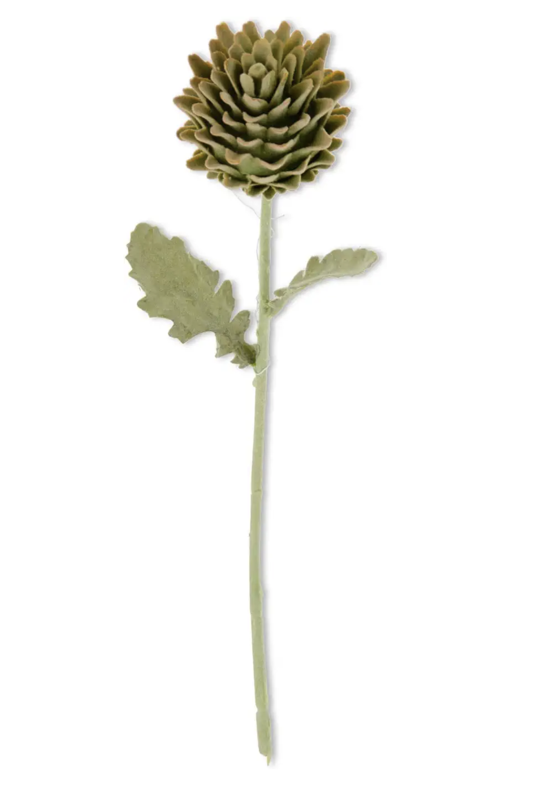 Green Artichoke Stem — alternate view 2