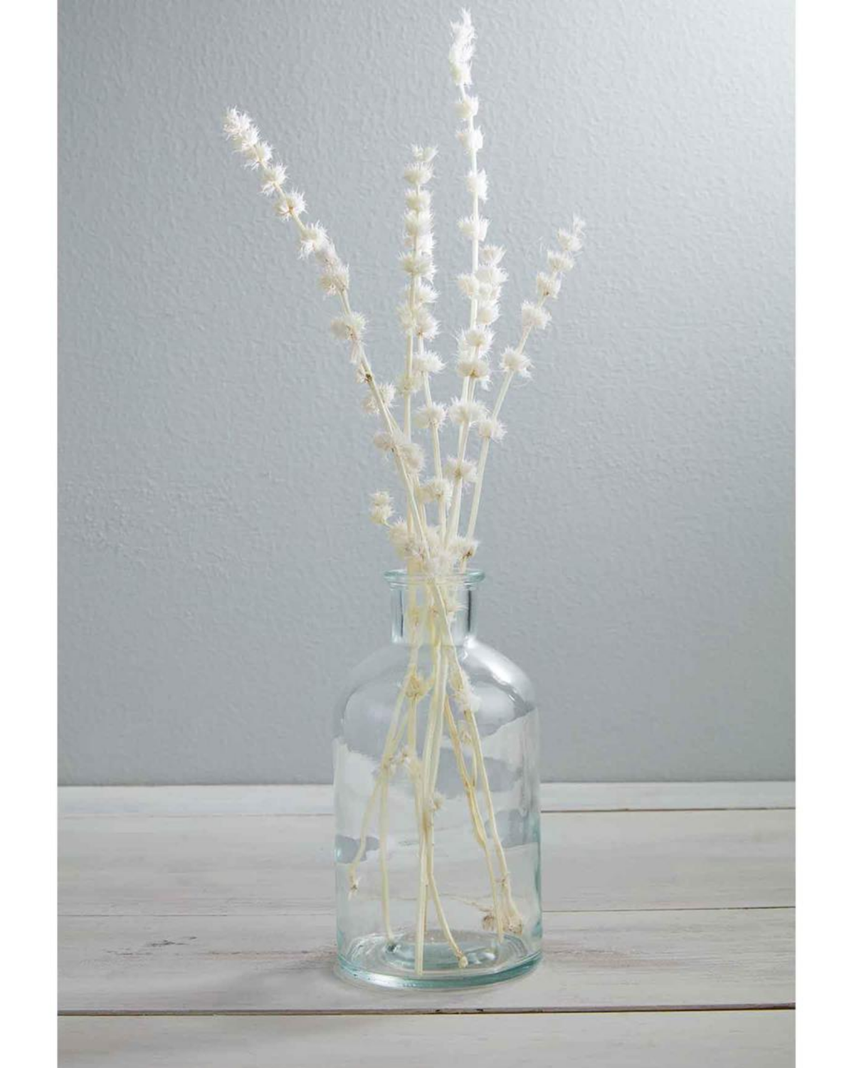 Lions Grass Bundle — alternate view 2