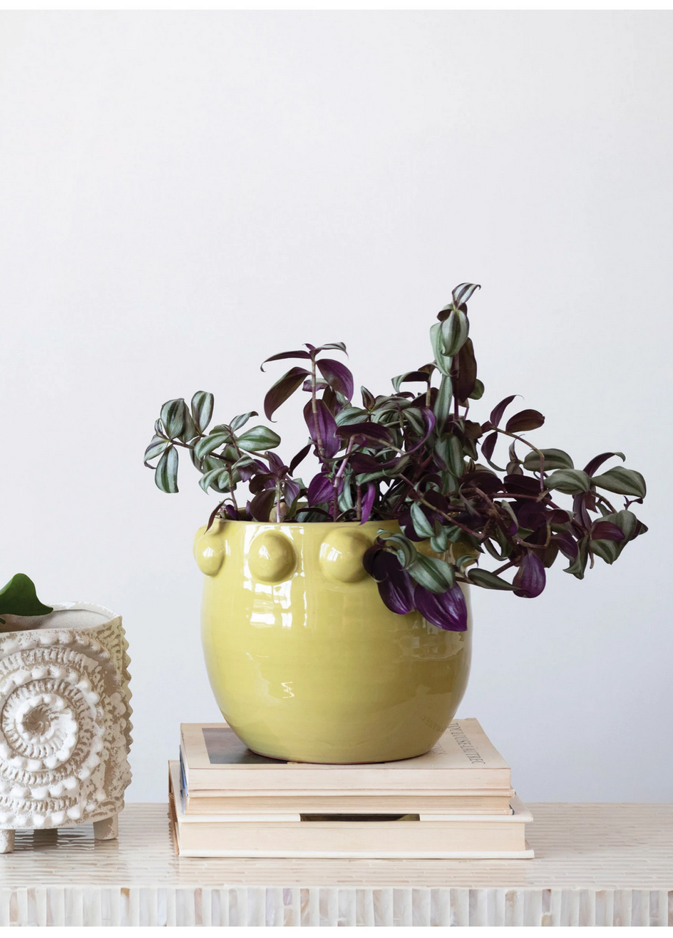 Terra-cotta Planter with Raised Dots — alternate view 2