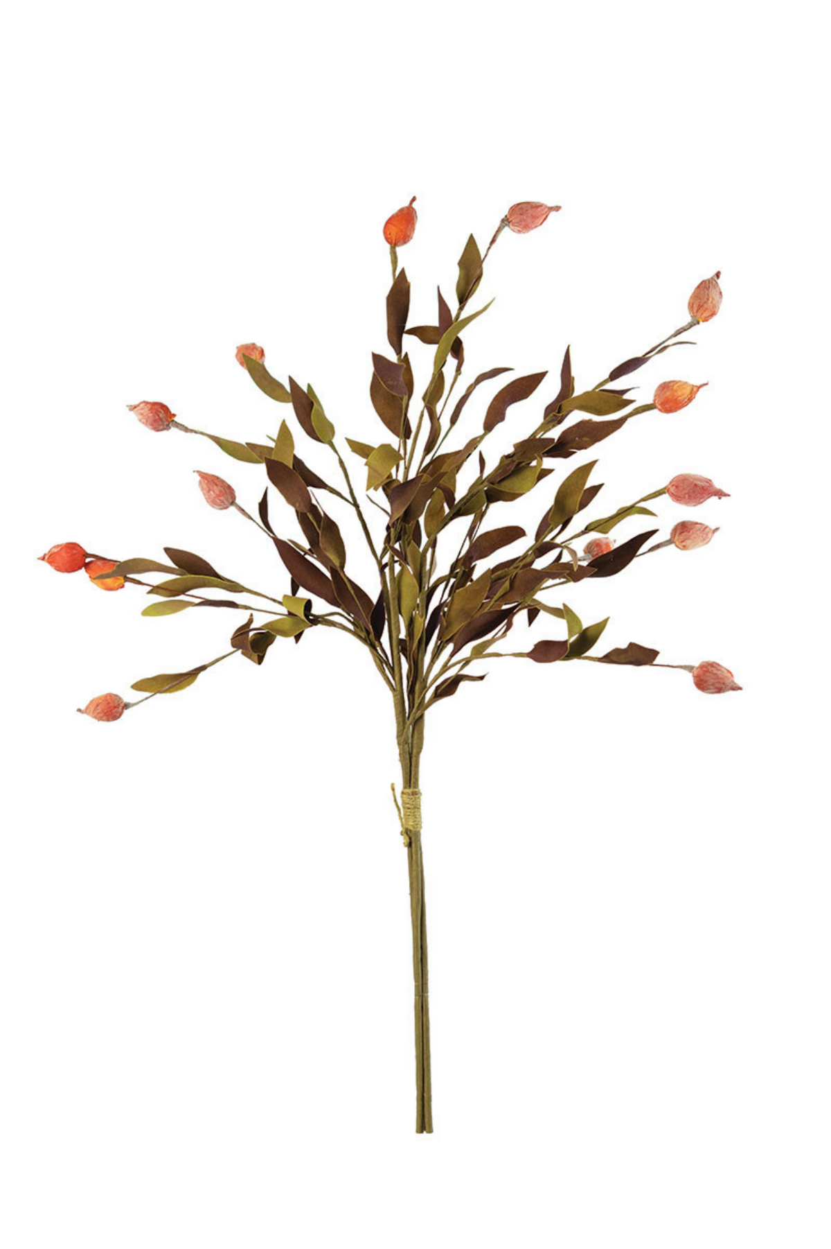 Botanica #2398