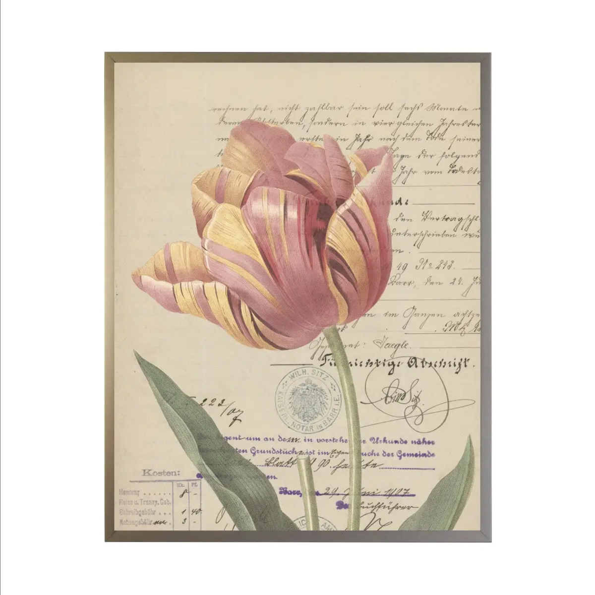 Yellow And Pink Tulip