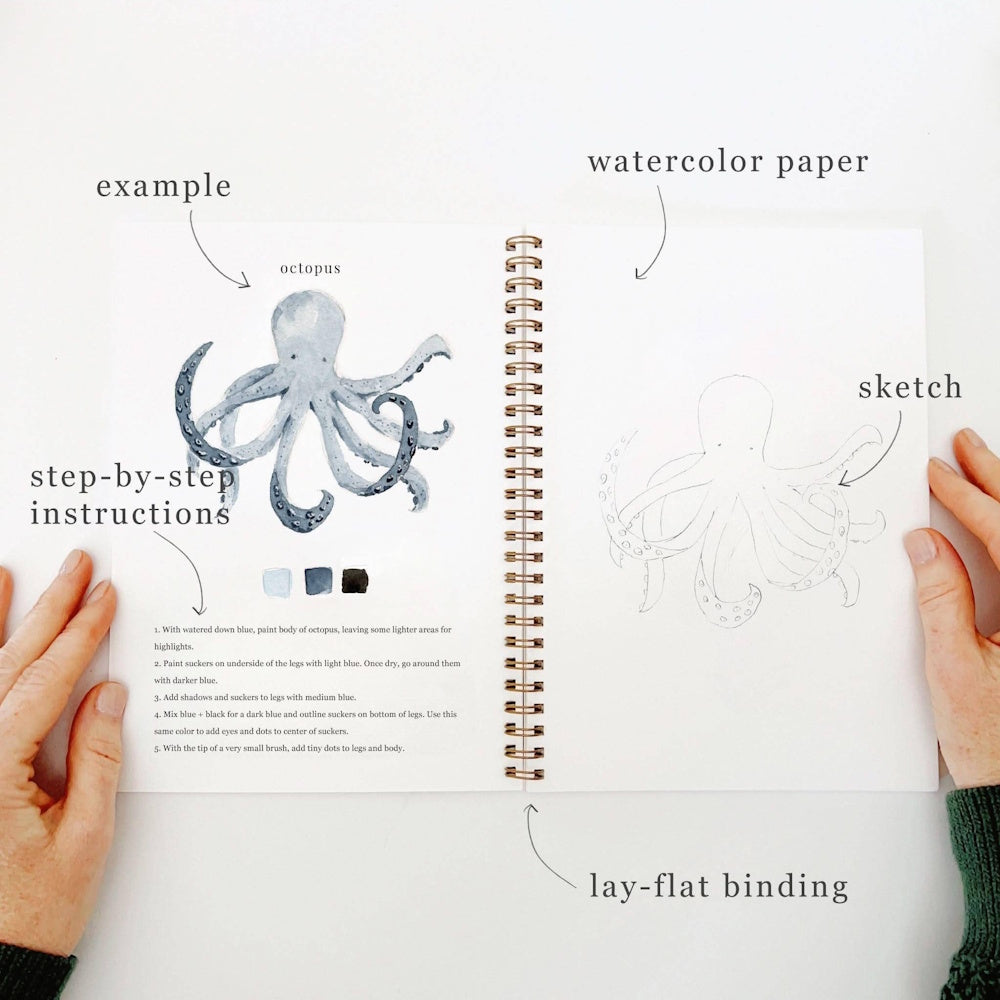 Watercolor workbook page showing octopus painting steps, example, and sketch on lay-flat spiral-bound paper.