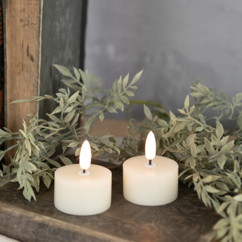 Two cream-colored flameless tea lights glowing on an antique book beside leafy green foliage.