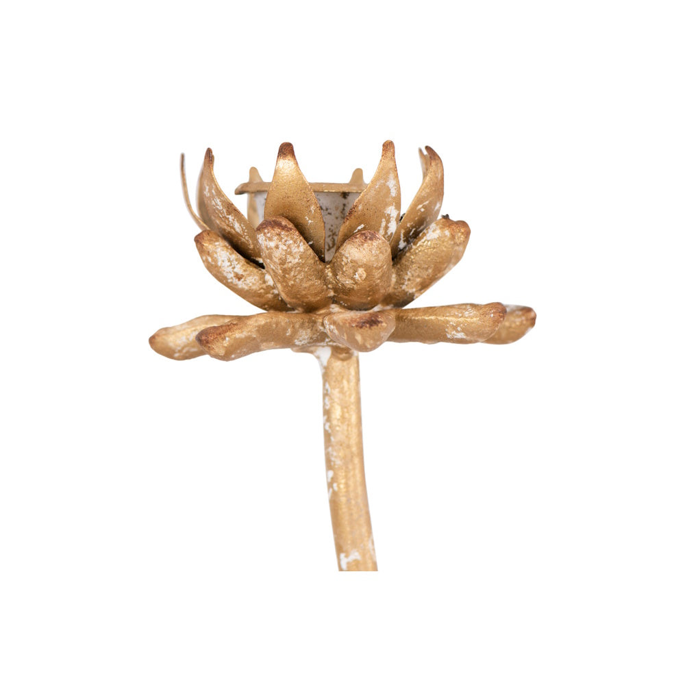 Gold flower-shaped taper candle holder with a distressed finish and white accents on a slender stem.