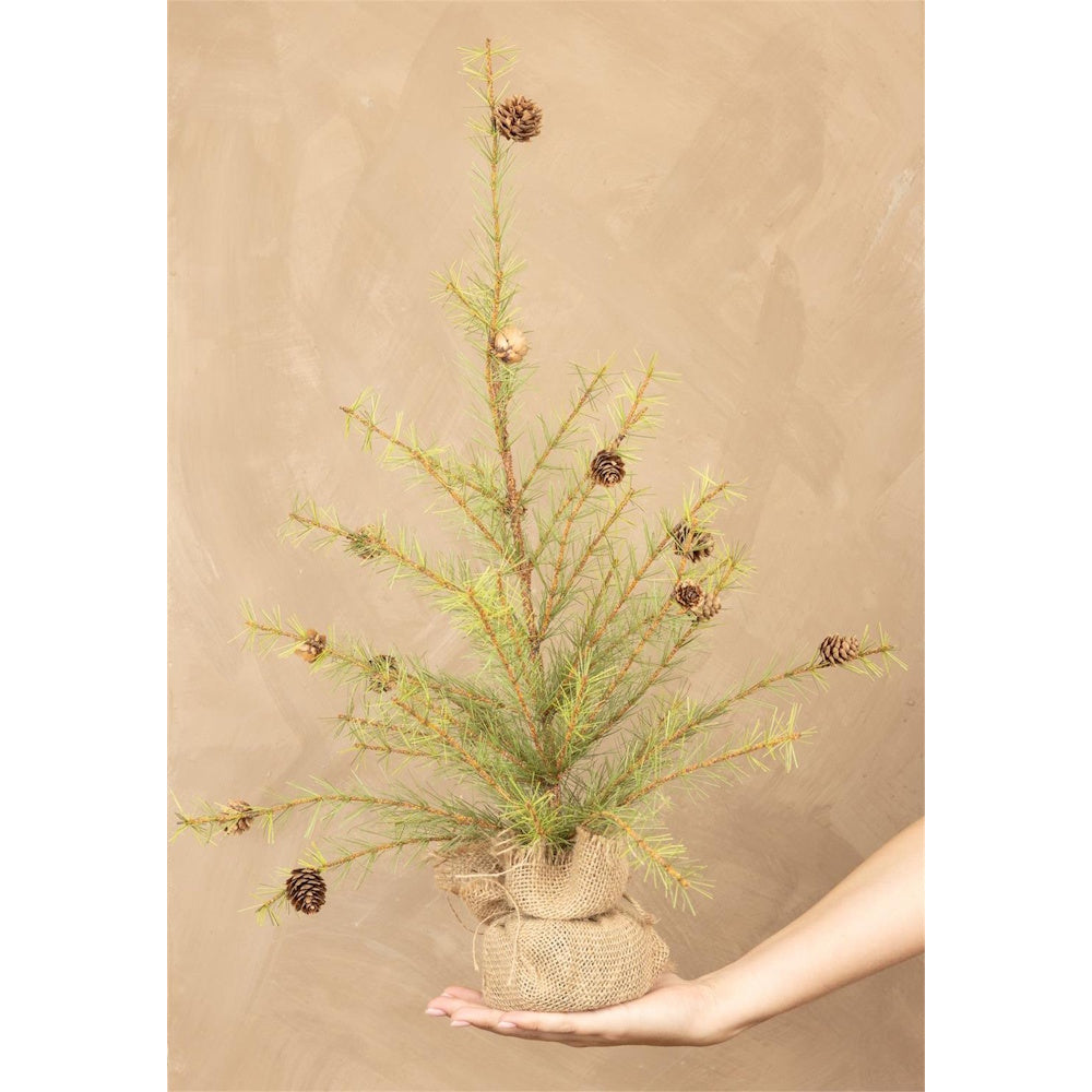 A hand holding a small potted pine tree decorated with pinecones against a warm beige background.