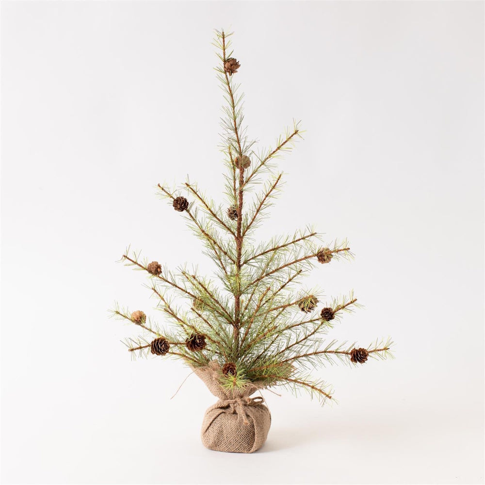 Miniature pine tree with pinecones and a burlap-wrapped base against a plain white background.