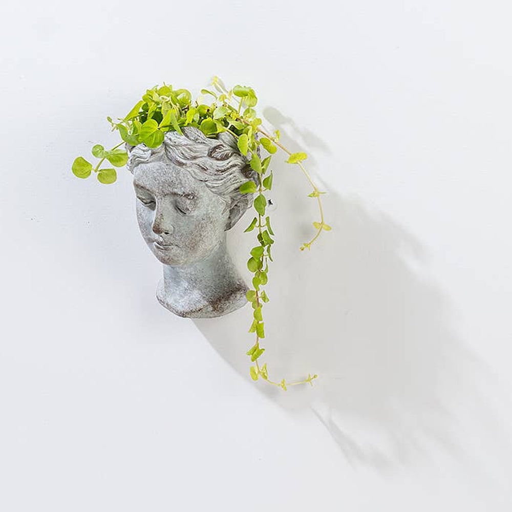 Classical Greek-style female bust wall planter with trailing green vines on a white background.
