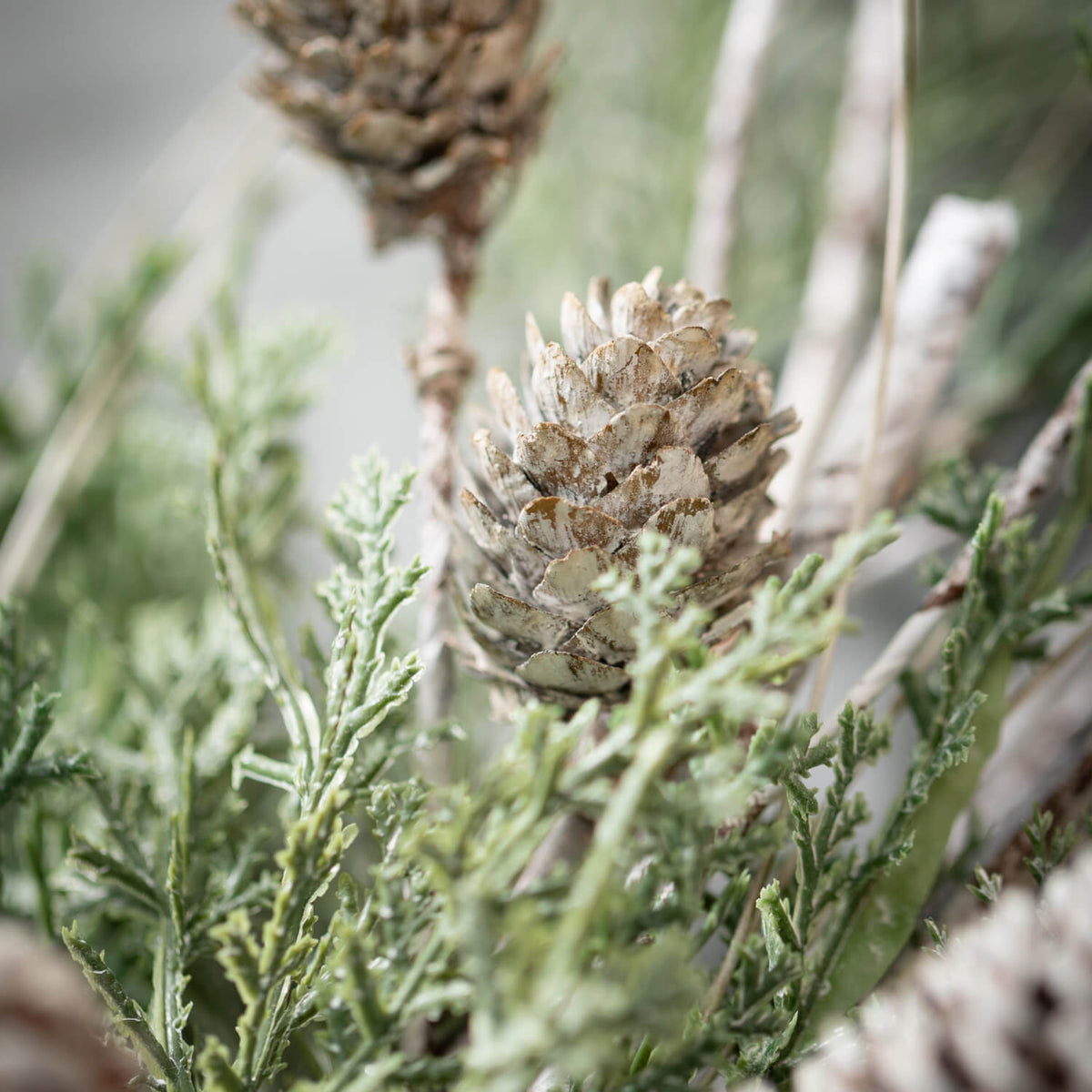 Cedar/Pine Spray — alternate view 2
