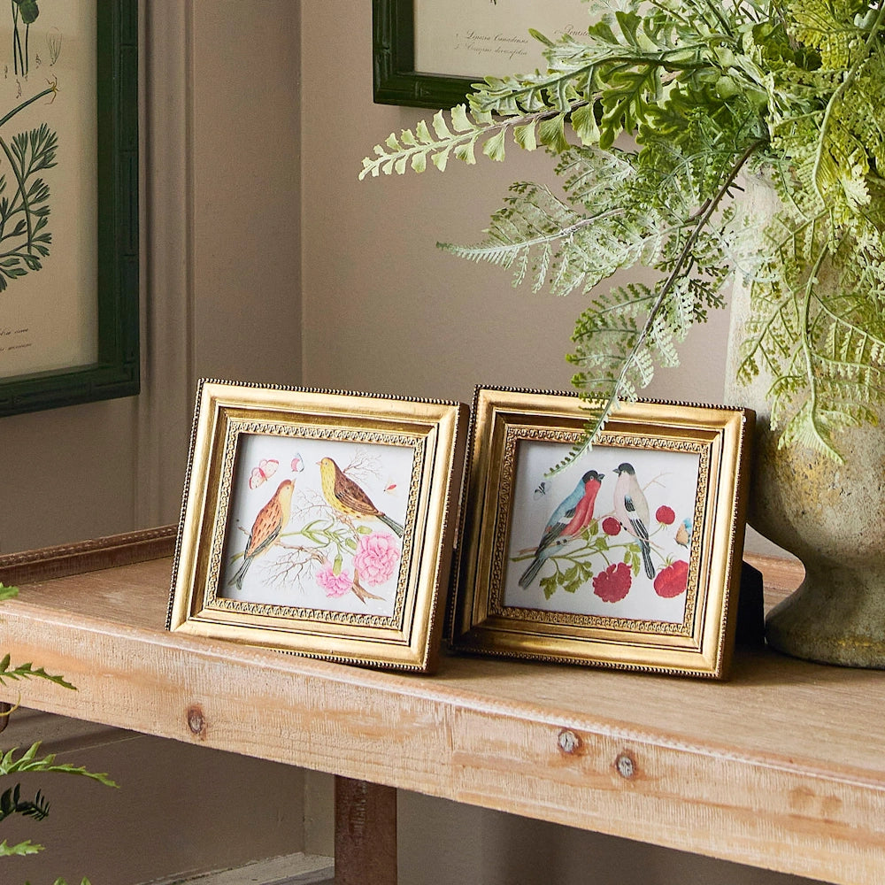 Framed bird illustrations on a wooden table beside lush greenery. The setting feels cozy and artistic, with a focus on nature-themed decor.
