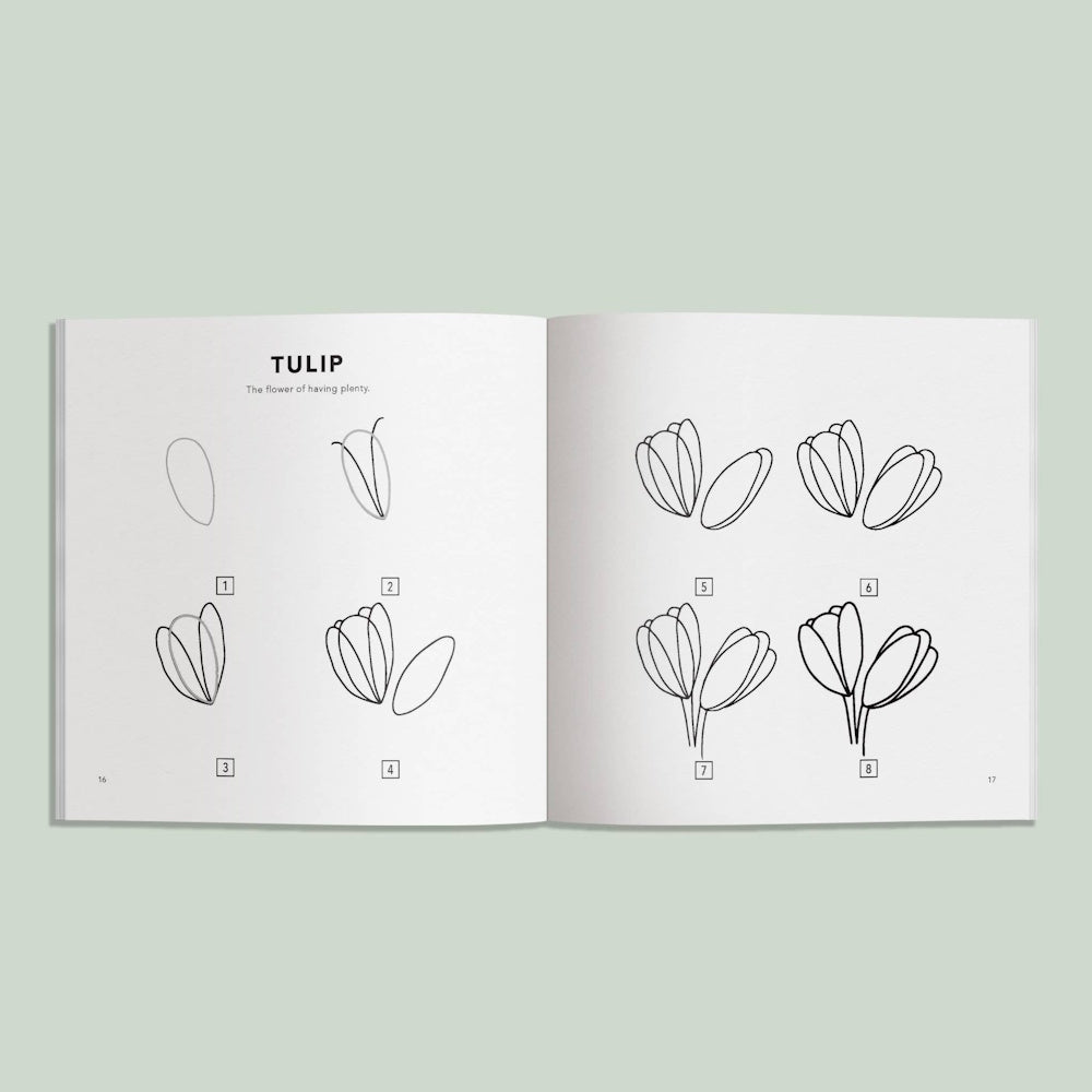 Step-by-step drawing tutorial for a tulip flower in a children's book, showing eight progress stages in black line art.