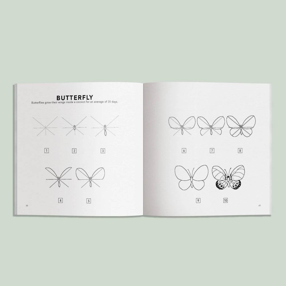 Step-by-step butterfly drawing tutorial from a kids' book, showing ten stages from basic lines to a detailed butterfly.