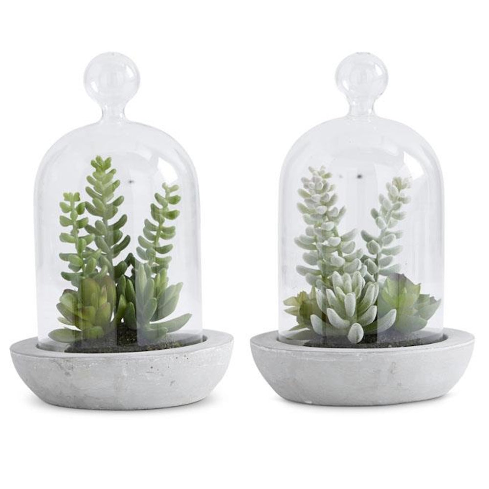 Artificial green succulents in clear glass cloche domes with grey cement bases for modern home decor tabletop display.