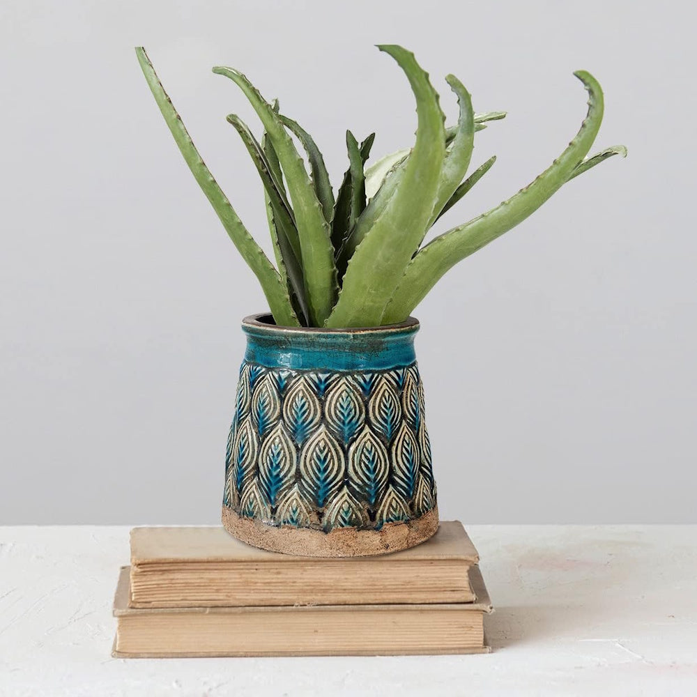 An aloe vera plant in a teal embossed terracotta planter, resting on two vintage books against a neutral background.