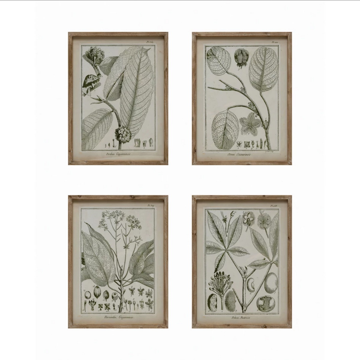 Wood Framed Glass Wall Décor with Plant, 4 Styles — alternate view 2