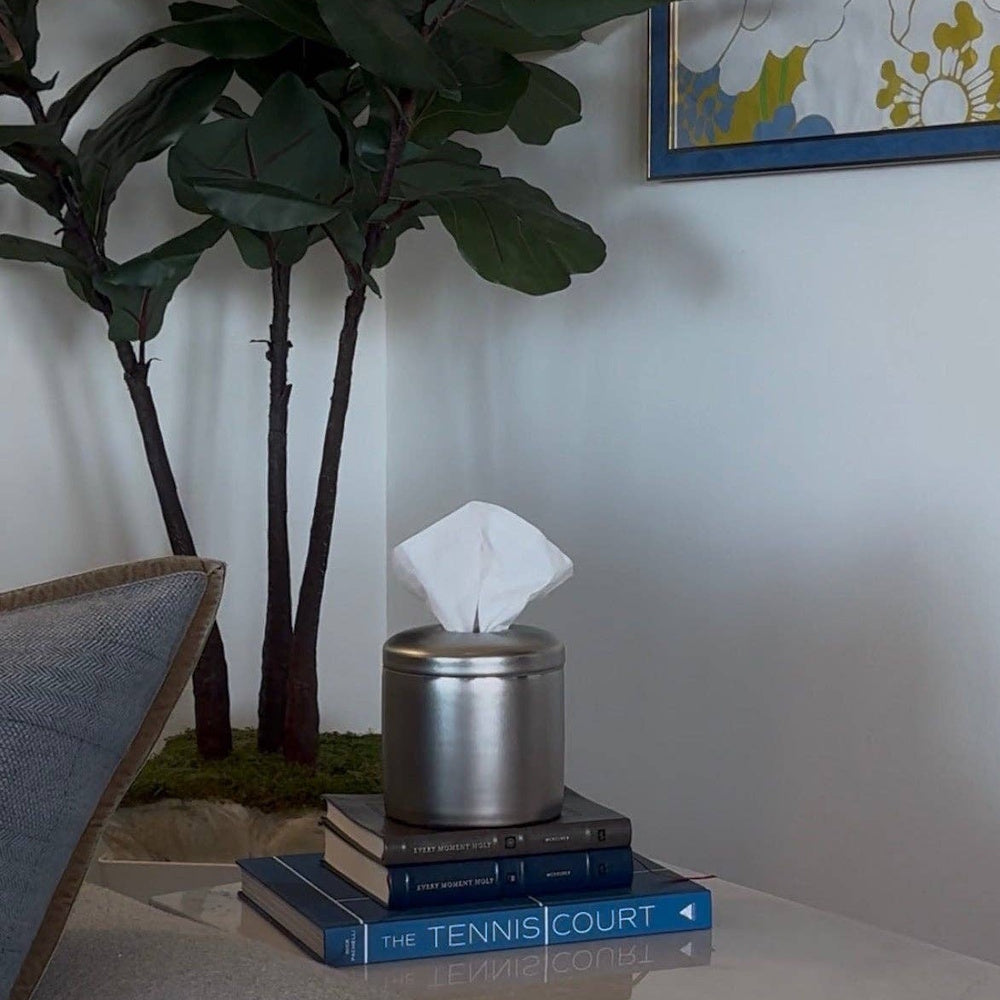 Silver tissue dispenser resting on stacked books beside a large potted plant and framed art.