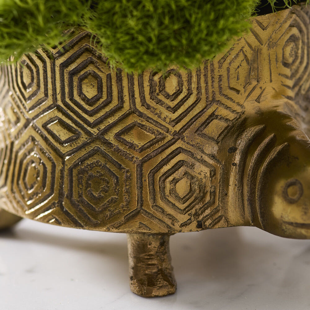 Close-up side view of a bronze metal turtle pot highlighting its textured geometric shell pattern.