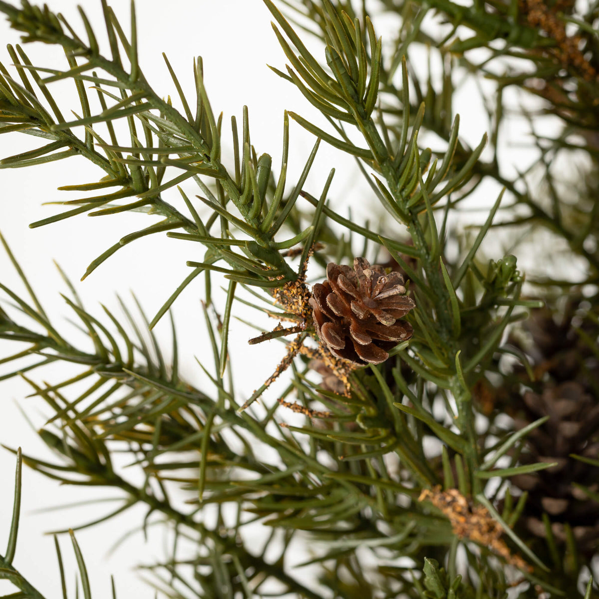 Potted Cedar Pinecone Tree (25") — alternate view 3