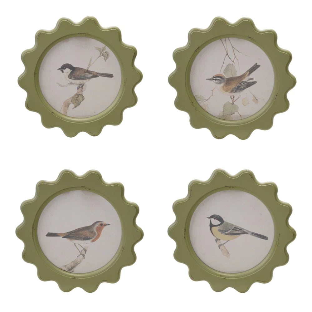 Set of 4 vintage style round green scalloped frames with botanical bird illustrations for wall decor.