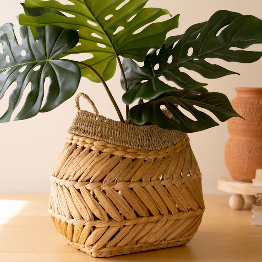 Woven water hyacinth planter basket holding a lush monstera plant on a wooden tabletop.