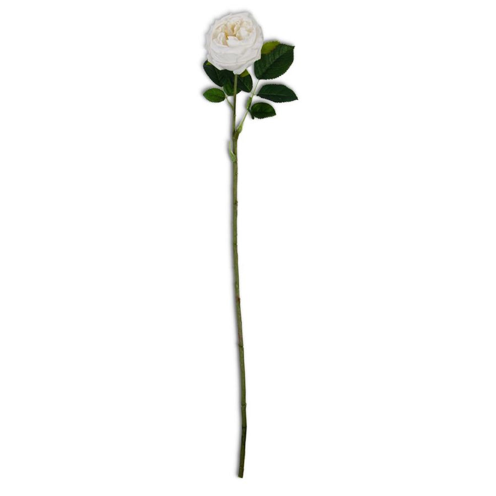White real touch Austin rose stem in cream, a lifelike artificial flower for elegant floral arrangements and home decor.