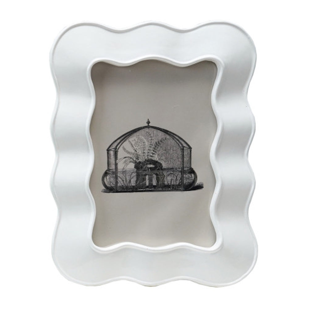Wavy white resin picture frame featuring a black and white vintage terrarium sketch.