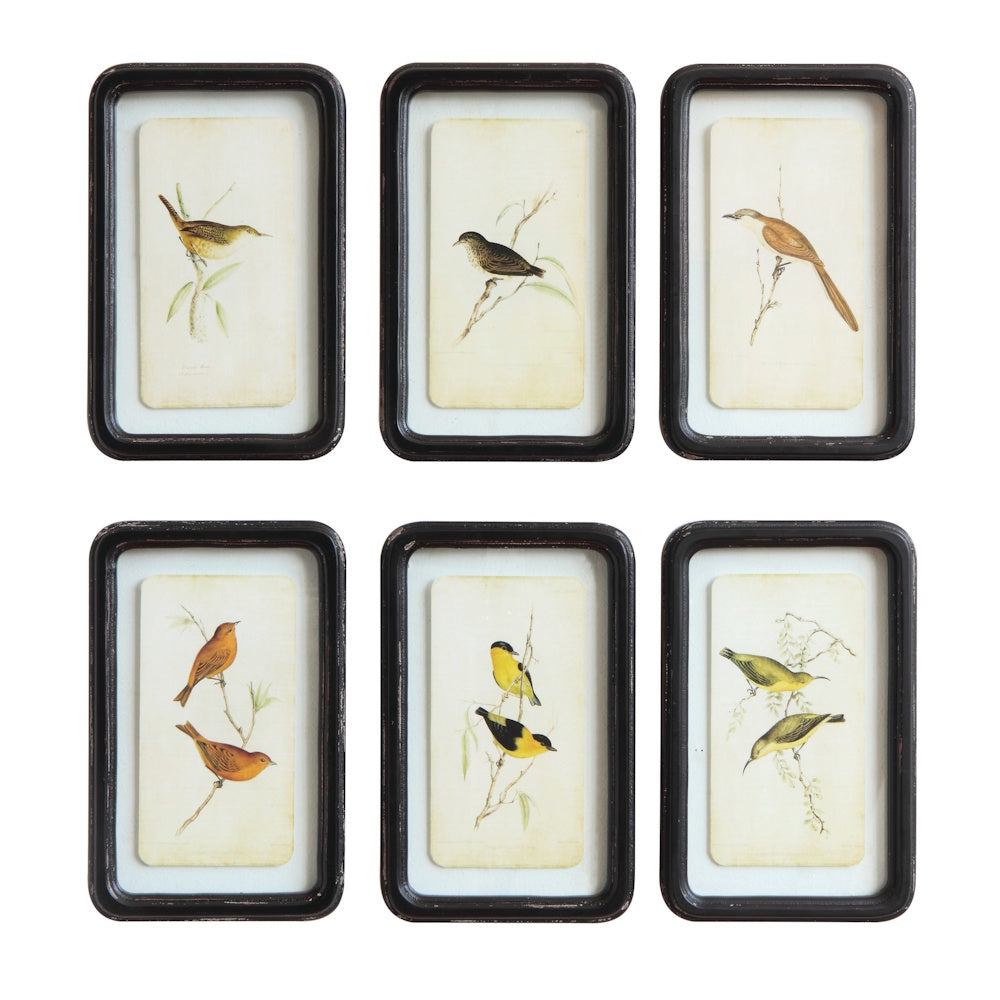 Set of six wood-framed glass wall decor pieces featuring floating vintage bird art.