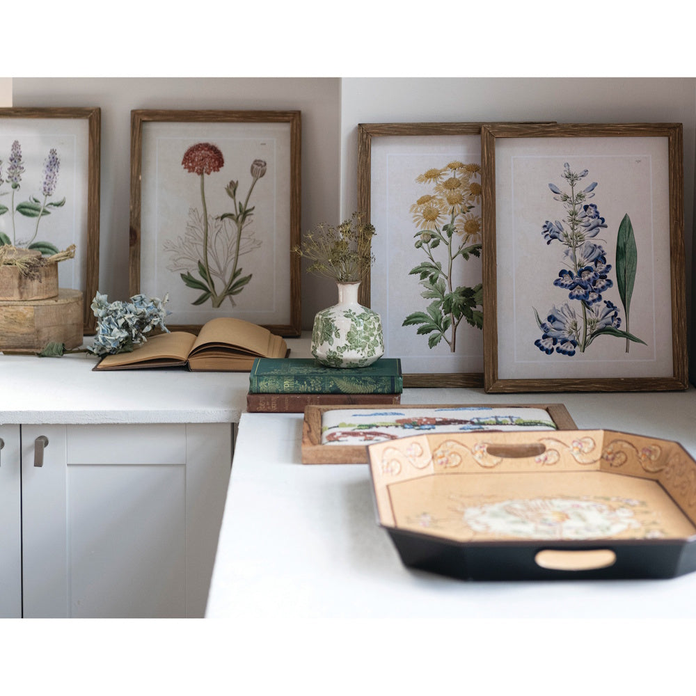 Vintage wood-framed botanical wall art prints displayed on a counter with books and decorative trays.