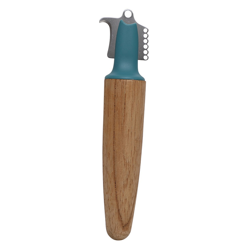 Stainless steel citrus zester with a teal accent and smooth wooden handle.