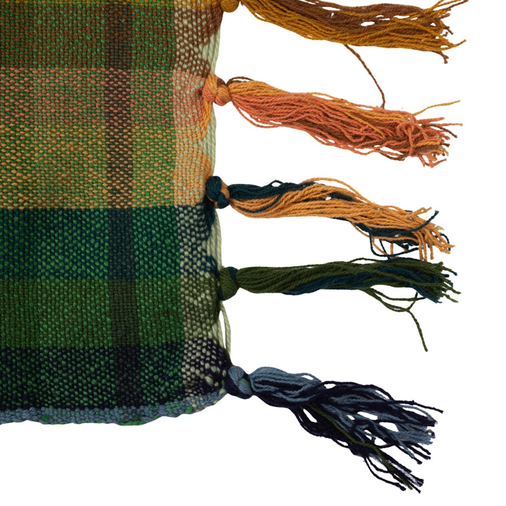 Woven cotton plaid throw blanket with colorful knotted fringes for cozy home styling.