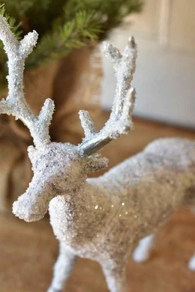 Dasher Deer — alternate view 2