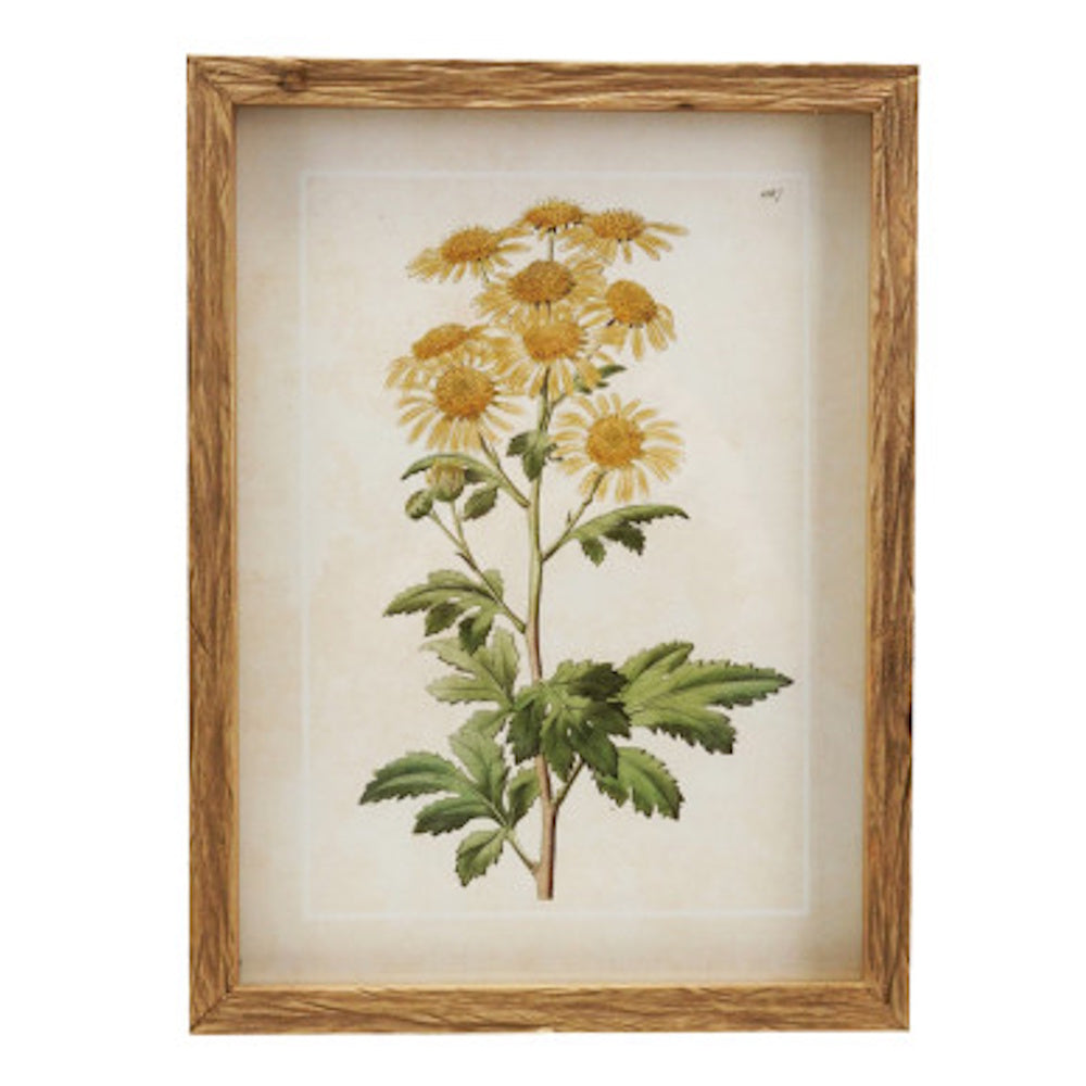 Vintage botanical yellow flower art print in a textured brown wood frame.