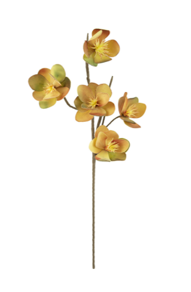 Tropical Peach Botanical- 43"