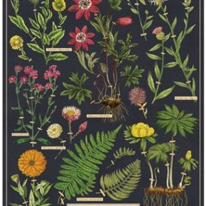 Herbarium Vintage Puzzle — alternate view 2