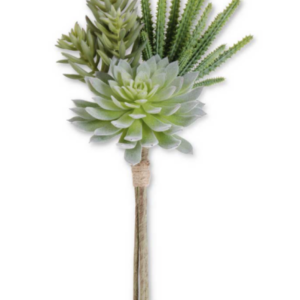 Green Assorted Succulent Bundle (3 Stems)